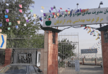 تغییرات اساسی در میادین و بازارهای میوه و ترهبار تهران