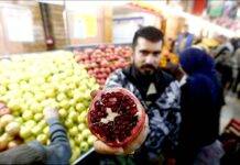 قیمت مصوب ۴ میوه پر مصرف شب یلدا در مراکز ترهبار تهران