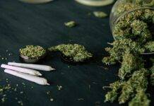 انتقاد از آزادسازی و جرمزدایی «کانابیس» در برخی از کشورها