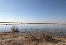 احیای تالاب بندعلیخان ورامین، مطالبه جدی و اولویتدار سازمان محیطزیست است
