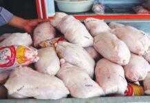 قیمت مرغ تازه در میادین میوه و ترهبار تهران